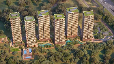 Layout Gallery Image