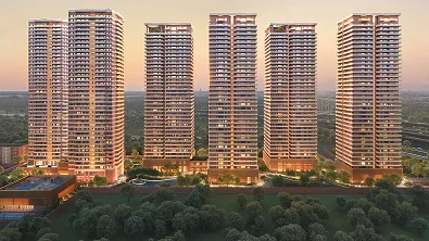 Layout Gallery Image